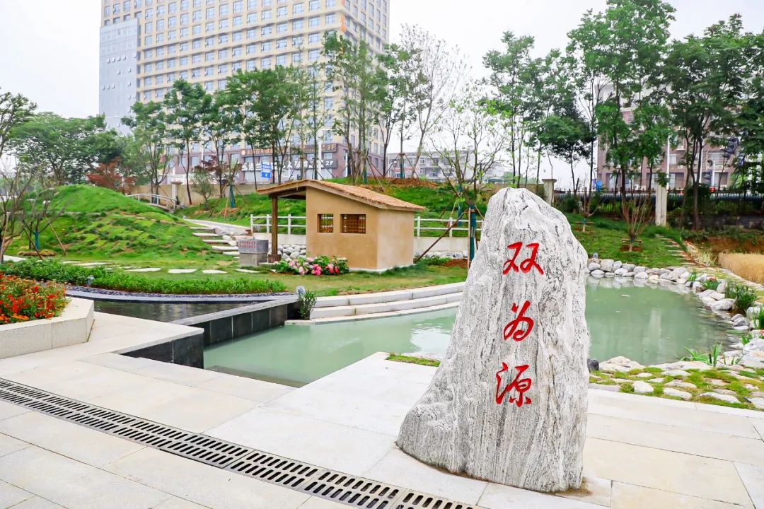 1661934680245312.jpg 640 (8).jpg